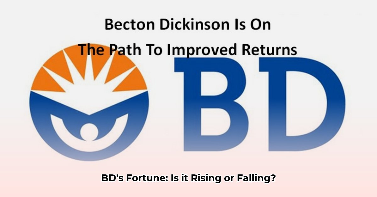 becton-dickinson-net-worth